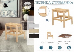 Табурет Стремянка в Александровском - alexsandrovskoe.mebel24.online | фото 4