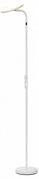Торшер Citilux SOLO CL804060 в Александровском - alexsandrovskoe.mebel24.online | фото