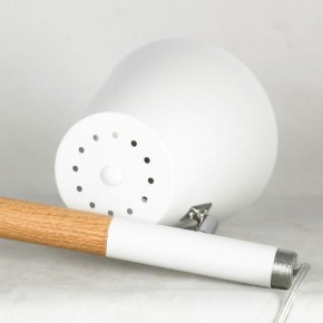 Торшер Lussole Buckeye LSP-0628 в Александровском - alexsandrovskoe.mebel24.online | фото 5