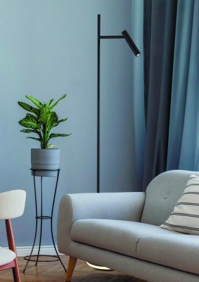 Торшер Maytoni Estudo Z010FL-L8B3K в Александровском - alexsandrovskoe.mebel24.online | фото 3