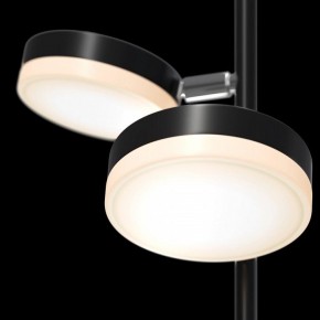 Торшер Maytoni Fad MOD070FL-L12B3K в Александровском - alexsandrovskoe.mebel24.online | фото
