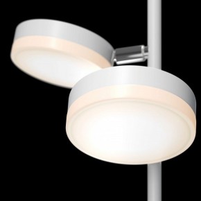 Торшер Maytoni Fad MOD070FL-L12W3K в Александровском - alexsandrovskoe.mebel24.online | фото 5