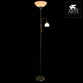 Торшер с подсветкой Arte Lamp Duetto A9569PN-2AB в Александровском - alexsandrovskoe.mebel24.online | фото 3