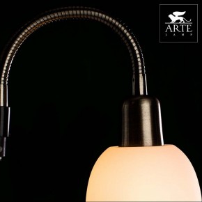 Торшер с подсветкой Arte Lamp Duetto A9569PN-2AB в Александровском - alexsandrovskoe.mebel24.online | фото 4
