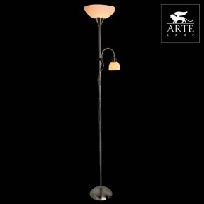 Торшер с подсветкой Arte Lamp Duetto A9569PN-2SS в Александровском - alexsandrovskoe.mebel24.online | фото 3
