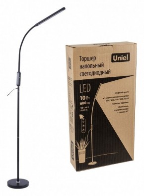 Торшер Uniel ULM-T619 UL-00010178 в Александровском - alexsandrovskoe.mebel24.online | фото 4