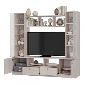 Центральная секция Зарина ЦС-01 (ясень белый) в Александровском - alexsandrovskoe.mebel24.online | фото 2