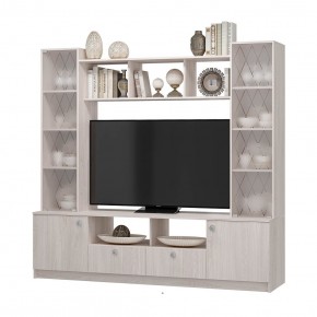 Центральная секция Зарина ЦС-01 (ясень белый) в Александровском - alexsandrovskoe.mebel24.online | фото 3