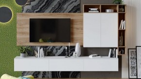 Тумба под ТВ Порто ТД-393.03.11 в Александровском - alexsandrovskoe.mebel24.online | фото 10
