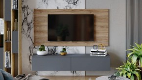 Тумба под ТВ Порто ТД-393.03.11 в Александровском - alexsandrovskoe.mebel24.online | фото 7