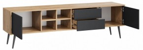 Тумба под ТВ Тип 5 в Александровском - alexsandrovskoe.mebel24.online | фото 2