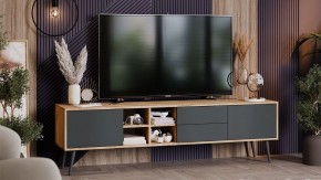 Тумба под ТВ Тип 5 в Александровском - alexsandrovskoe.mebel24.online | фото 5