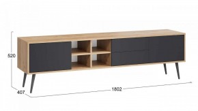 Тумба под ТВ Тип 5 в Александровском - alexsandrovskoe.mebel24.online | фото 6