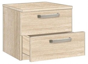 Тумбочка 1.021 в Александровском - alexsandrovskoe.mebel24.online | фото