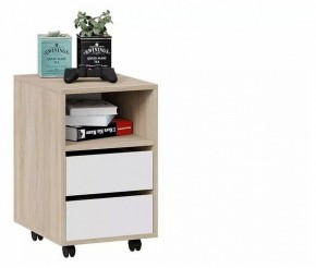 Тумбочка Тип 14 в Александровском - alexsandrovskoe.mebel24.online | фото 3