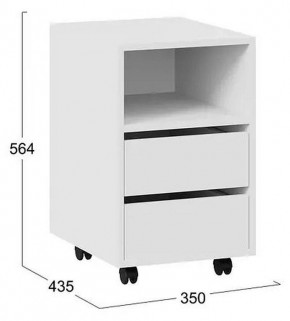 Тумбочка Тип 14 в Александровском - alexsandrovskoe.mebel24.online | фото 4