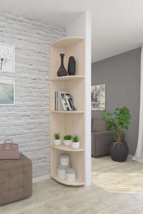 Угловой элемент ЛДСП 1 кат. в Александровском - alexsandrovskoe.mebel24.online | фото 4