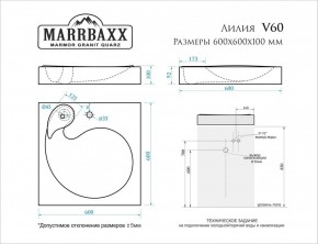 Умывальник над стиральной машиной (600*600х100) Лилия V60 (белый) с кронштейном без сифона (V60) в Александровском - alexsandrovskoe.mebel24.online | фото 2
