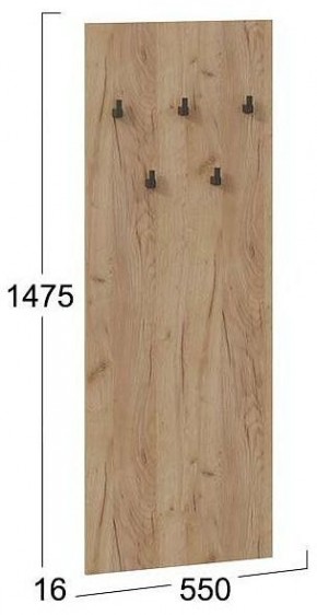 Вешалка настенная Хилтон Исп.2.1 в Александровском - alexsandrovskoe.mebel24.online | фото 4