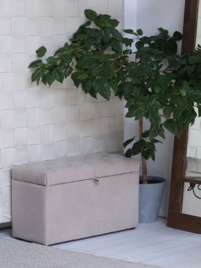 Банкетка 1060 в Александровском - alexsandrovskoe.mebel24.online | фото