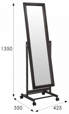 Зеркало напольное BeautyStyle 27 в Александровском - alexsandrovskoe.mebel24.online | фото 9